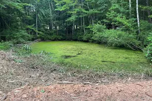 67 Christian Hill Rd, Amherst, NH 03031 - Photo 1