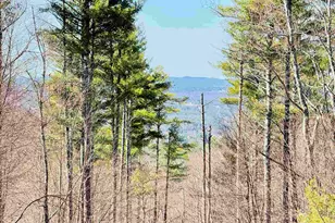 Map R05 Lot 1 Sanborn Hill Rd, Epsom, NH 03234 - Photo 1