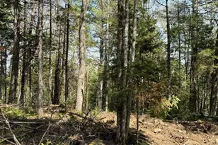 Lot 3 Nh Route 4A, Grafton, NH 03240 - Photo 1