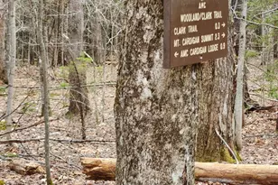 0 Clarks/Woodland Trail, Alexandria, NH 03220 - Photo 1