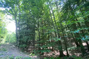 Tyler Way, Bath, NH 03740 - Photo 1