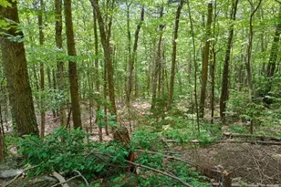 Blueberry Hill Rd, Grafton, NH 03240 - Photo 1