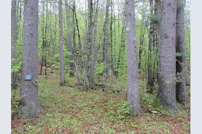 72 Brewster Road, Barrington, NH 03825 - Photo 1