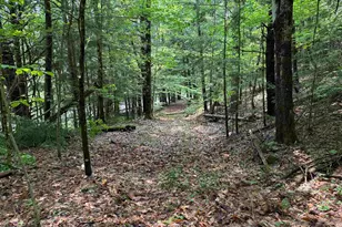 0 Nh Route 120, Cornish, NH 03745 - Photo 1