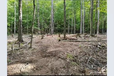 335 Coolidge Drive, Washington, NH 03280 - Photo 1