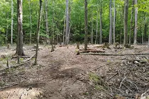 335 Coolidge Dr, Washington, NH 03280 - Photo 1