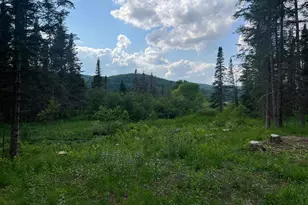 - Indian Stream Rd, Pittsburg, NH 03592 - Photo 1