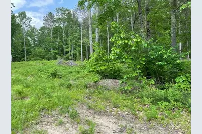 Lot 33 Blake Trail, Tuftonboro, NH 03816 - Photo 1