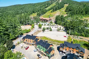 15 Black Diamond Rd, Conway, NH 03860 - Photo 1