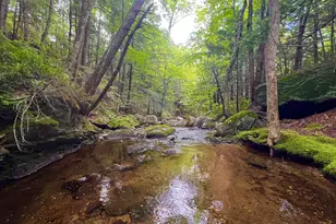 567 &amp Lot 13-98 Wild Meadow Rd, Grafton, NH 03240 - Photo 1