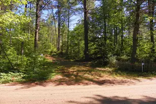 109 Clough Rd, Effingham, NH 03882 - Photo 1