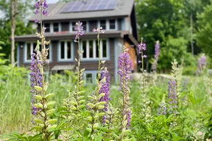 615 Forest Hills Rd, Franconia, NH 03580 - Photo 1