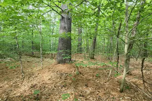 Tbd Middle Rte, Gilmanton, NH 03237 - Photo 1