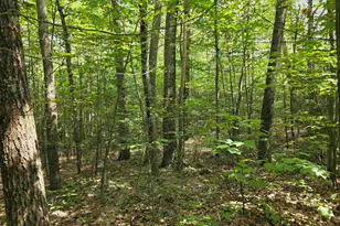 00 Reed Carr Rd, Antrim, NH 03440 - Photo 1