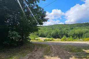 M9 L52 Sugar House Rd, Washington, NH 03280 - Photo 1