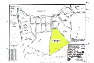 29 Scobie Rd, New Boston, NH 03070 - Photo 1