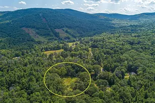 153 Mooseview Dr, Brookfield, NH 03872 - Photo 1