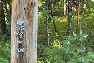 27 Blueberry Rd, Ossipee, NH 03814 - Photo 1