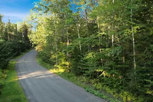 66 Longwood Dr, Grantham, NH 03753 - Photo 1