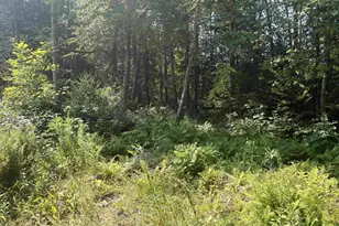 19 Shady Ln, Northfield, NH 03276 - Photo 1