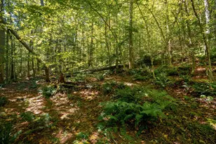 00 Turtle Rock Rd, Stoddard, NH 03464 - Photo 1