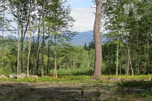 00 Coventry Rd, Benton, NH 03785 - Photo 1