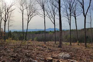 238-1-1 3 Maple Grove Rd, Madison, NH 03849 - Photo 1