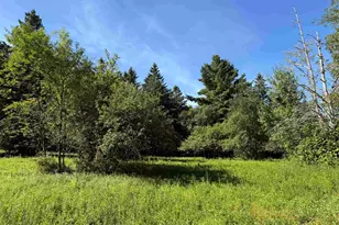 0 North Rd, Jefferson, NH 03583 - Photo 1