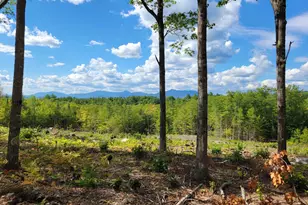 238-1-1 2 Maple Grove Rd, Madison, NH 03849 - Photo 1