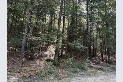 000 Smith Road, Holderness, NH 03245 - Photo 1