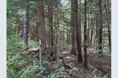 000 Smith Road, Holderness, NH 03245 - Photo 1