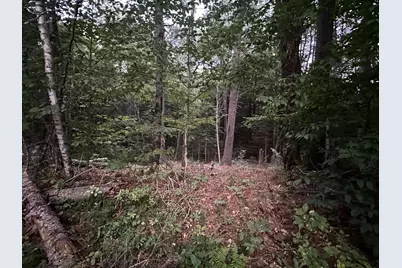 131 Adams Drive, Washington, NH 03280 - Photo 1