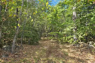 423-56 Griffin Rd, Gilmanton, NH 03237 - Photo 1