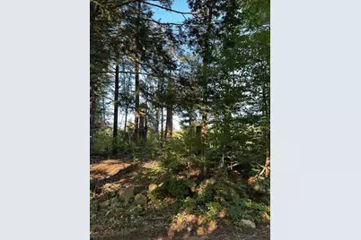 00 Berry Road, New Durham, NH 03855 - Photo 1