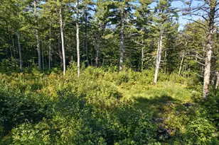 12 Balsam Dr, Gilford, NH 03249 - Photo 1