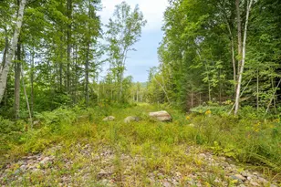 00 Milan Hill Rd, Milan, NH 03588 - Photo 1