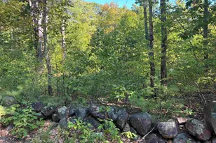 Farrington Corner Rd, Hopkinton, NH 03229 - Photo 1