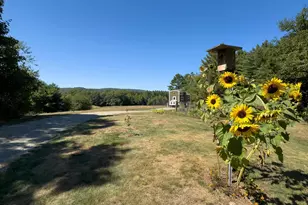 382 Buffalo Rd, Wentworth, NH 03282 - Photo 1