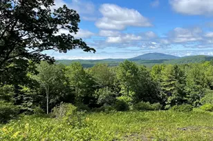 0 Duncan Rd, Hancock, NH 03449 - Photo 1