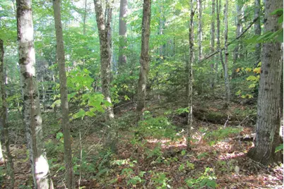 00 Vernon Avenue, Haverhill, NH 03785 - Photo 1