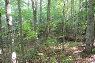 00 Vernon Ave, Haverhill, NH 03785 - Photo 1