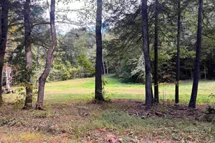 00 Cold River Rd, Langdon, NH 03602 - Photo 1