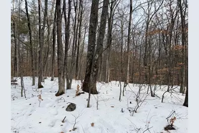 19 West Bergamo Road, Madison, NH 03849 - Photo 1