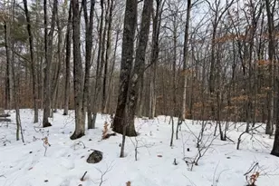 19 W Bergamo Rd, Madison, NH 03849 - Photo 1