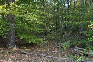 111 Parsons Hill Rd, Strafford, NH 03884 - Photo 1