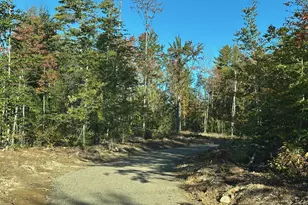 00 Pinkham Rd, Middleton, NH 03887 - Photo 1