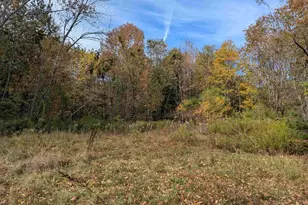 113 Jones Rd, Effingham, NH 03882 - Photo 1