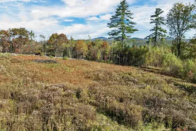 44 Williams Hill Road, Grafton, NH 03240 - Photo 1