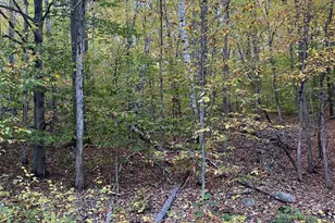 E-15 David Thompson Dr, Campton, NH 03223 - Photo 1