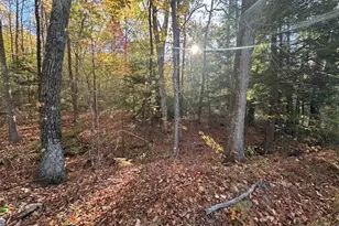 00 Old Walpole Rd, Surry, NH 03431 - Photo 1